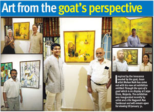 Art from the goat's perspective