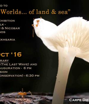 Island Worlds... Of Land & Sea