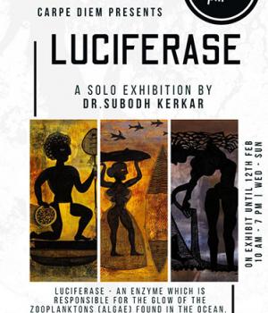 Luciferase