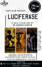 Luciferase